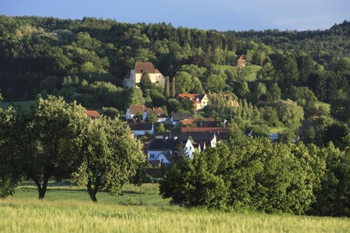 Schlosshotel Obermayerhofen Sebersdorf Dış mekan fotoğraf