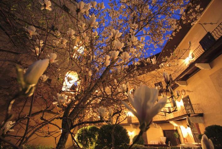 Schlosshotel Obermayerhofen Sebersdorf Dış mekan fotoğraf