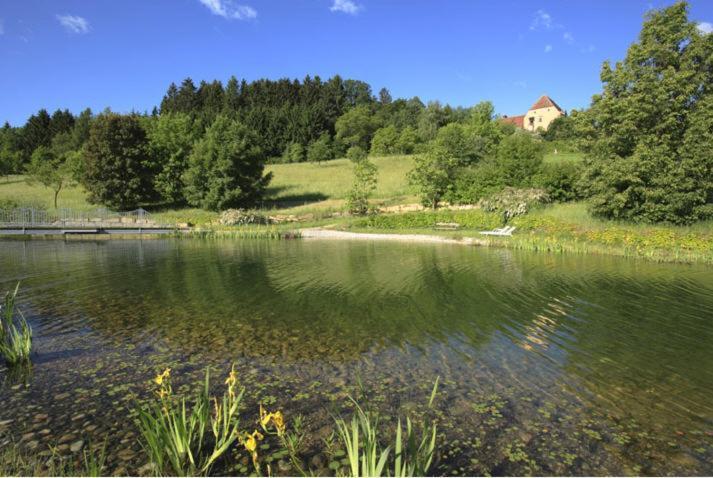 Schlosshotel Obermayerhofen Sebersdorf Dış mekan fotoğraf